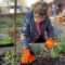 A lady enjoying learning new gardening skills in Wantage Market Garden in Oxfordshire