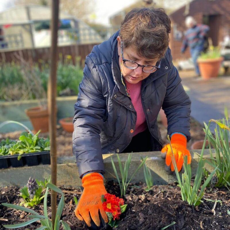 A lady enjoying learning new gardening skills in Wantage Market Garden in Oxfordshire
