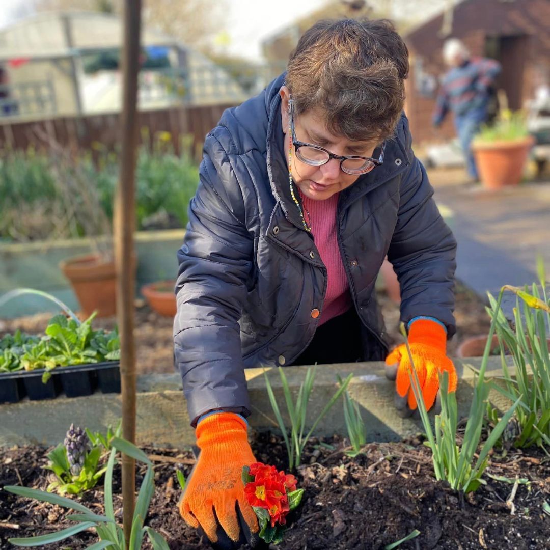 A lady enjoying learning new gardening skills in Wantage Market Garden in Oxfordshire
