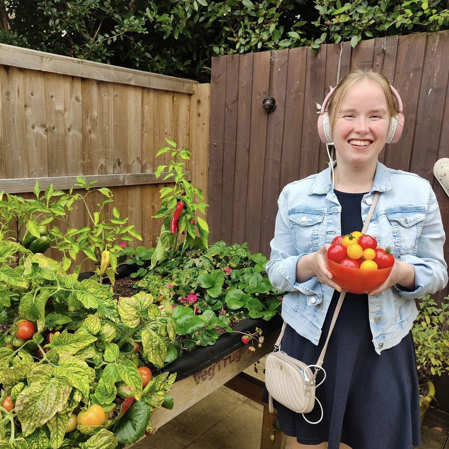 A lady picking tomatoes in her garden - Garden project, Oxfordshire