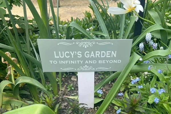 A garden with an in memory sign reading 'to infinity and beyond'