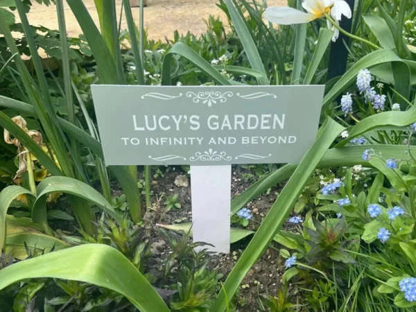 A garden with an in memory sign reading 'to infinity and beyond'