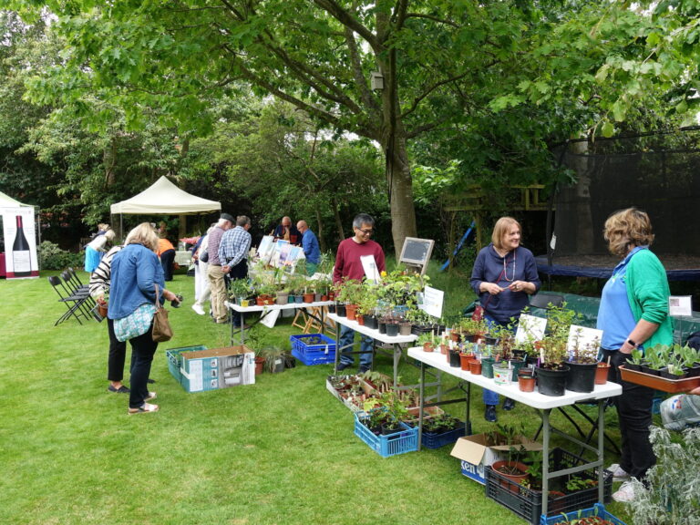 wallingford-wall-gardens-plant-stalls_5vXkwfQw People enjoying Wallingford Walled Gardens