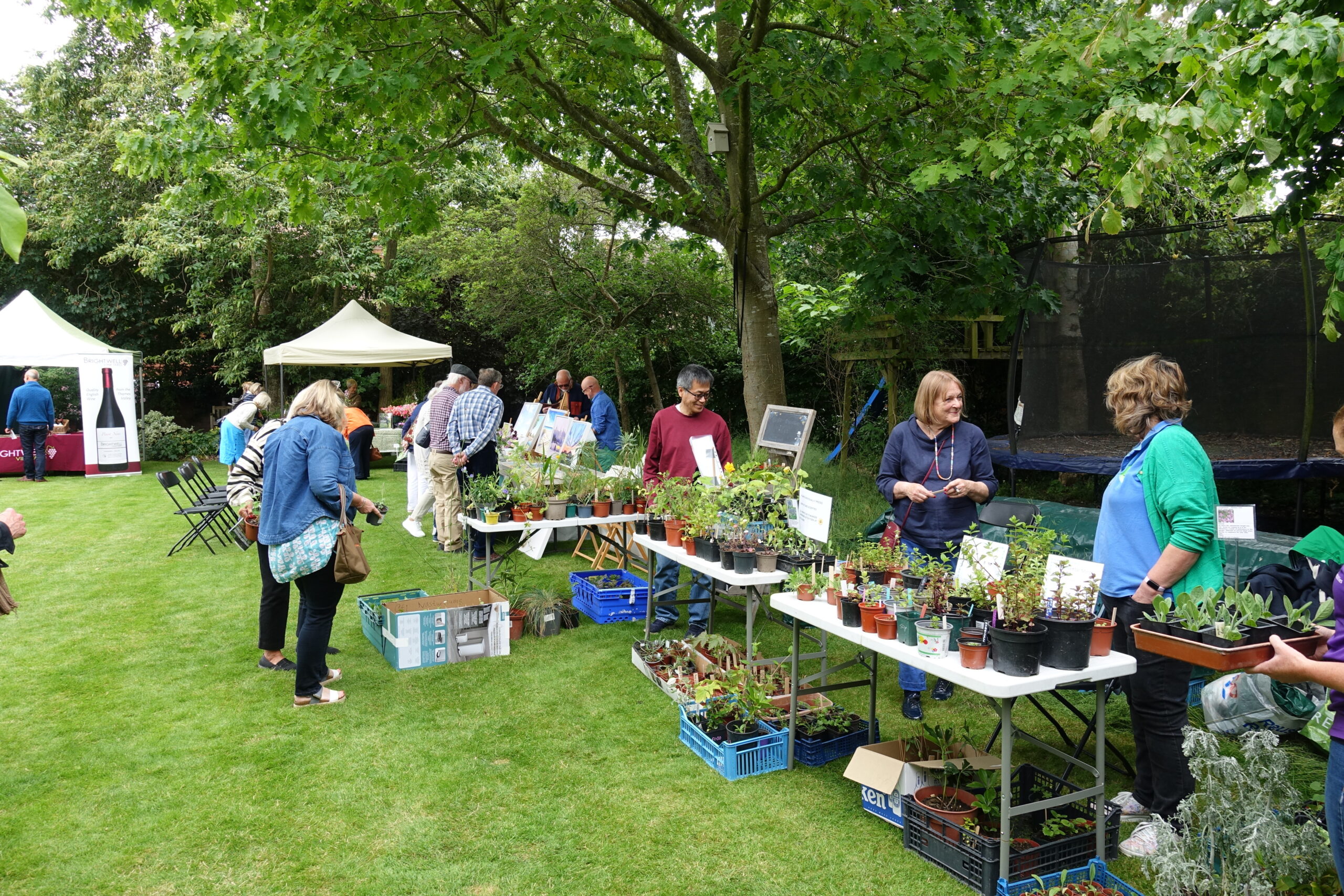 wallingford-wall-gardens-plant-stalls_5vXkwfQw People enjoying Wallingford Walled Gardens