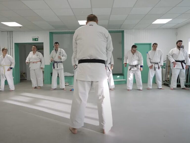 Traditional Martial Arts For All Group of people in a Karate class