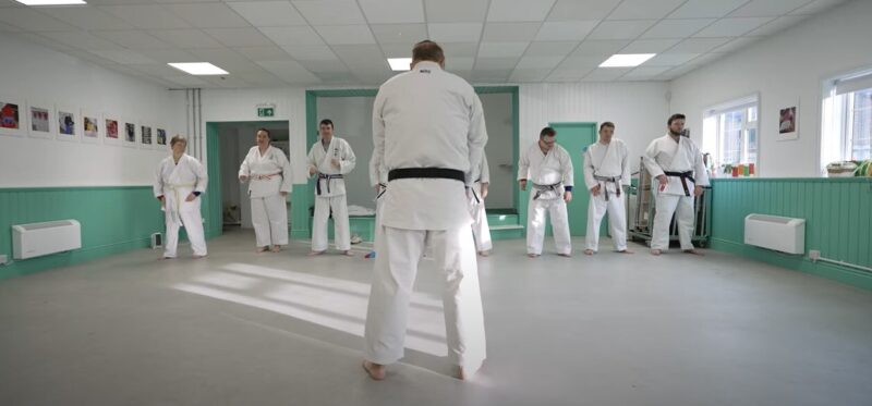 Group of people in a Karate class