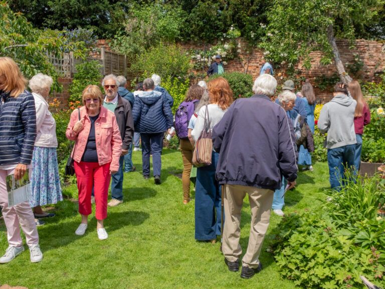 Wallingford Walled Gardens – June 2025 (7) Visitors at Wallingford Walled gardens looking round a garden