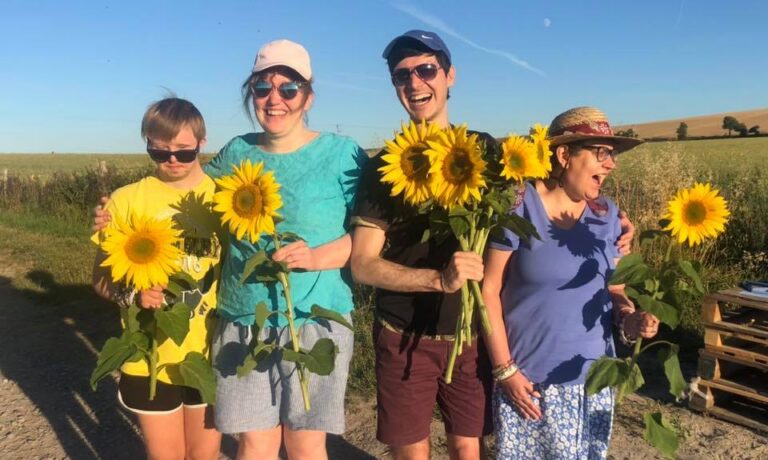 Slade sunflowers consent given